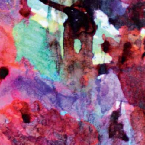 elena clivati milesi