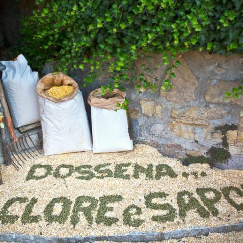 dossena folclore e sapori 2017